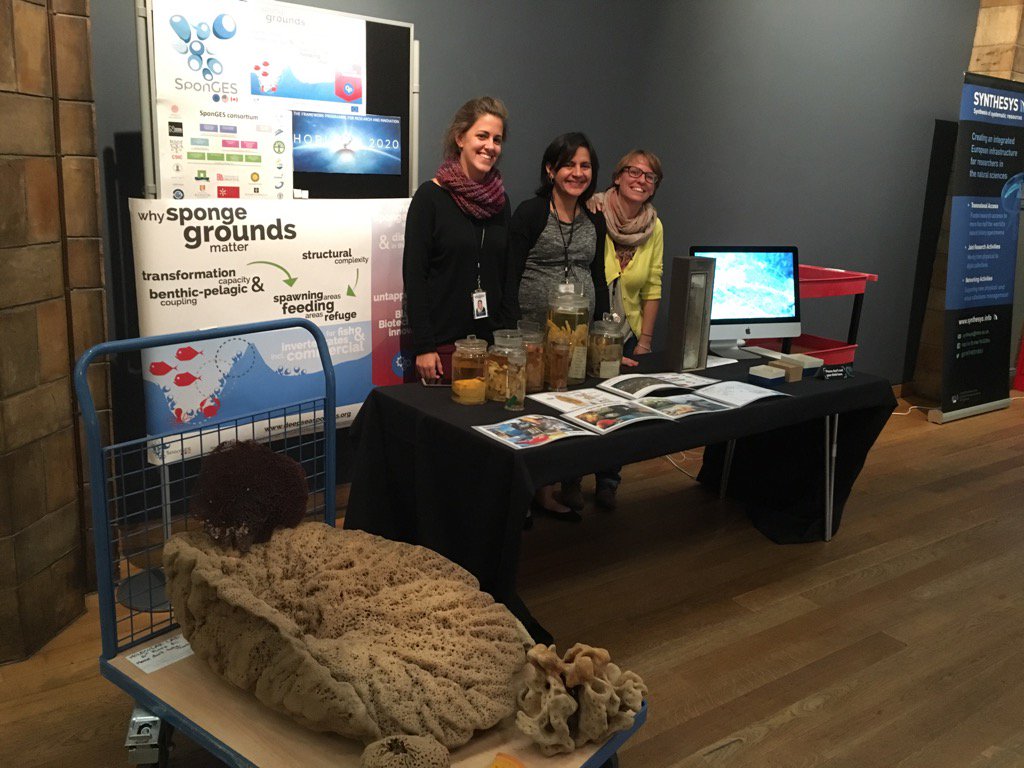 Deep-sea sponges in the spotlight at the Natural History Museum of London