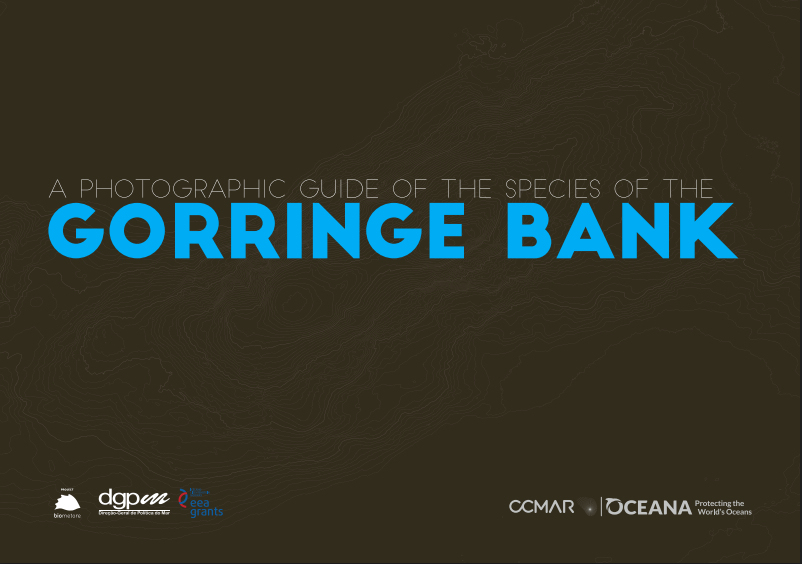 #Gorringe #Bank #photoguide