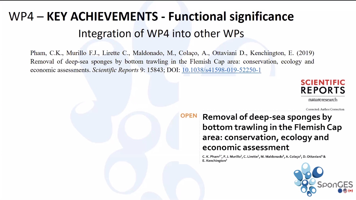 Slide from SponGES WP4 at final meeting